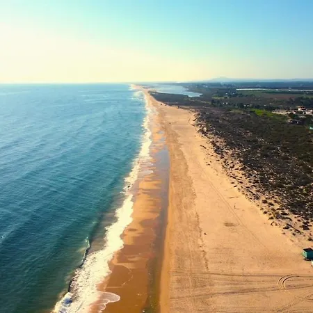 Rowena, Terraces Of * Tavira